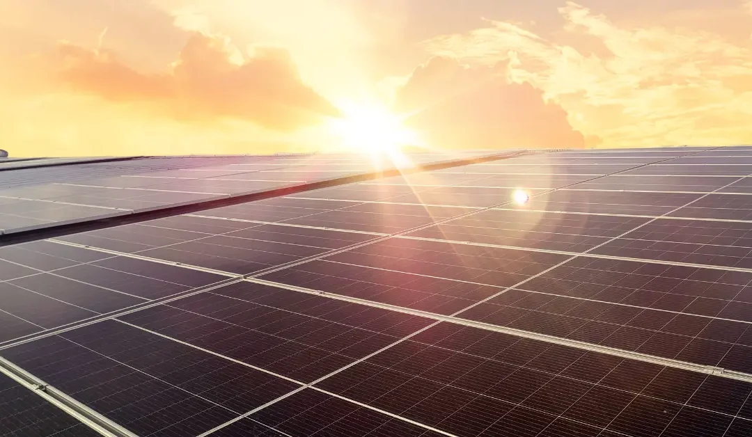 Top 20 Solar Panel & Cell Manufacturers in India (2025) – Reliable Brands for Homes & Businesses