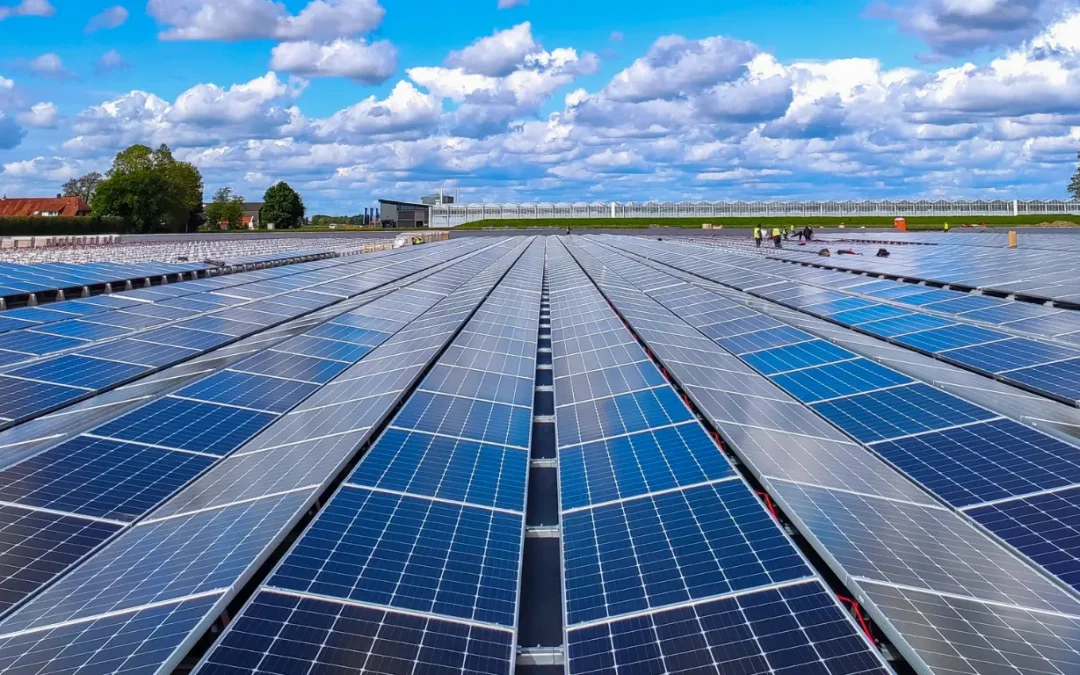 Delhi’s Leading Solar Panel Companies: Which One Should You Trust?