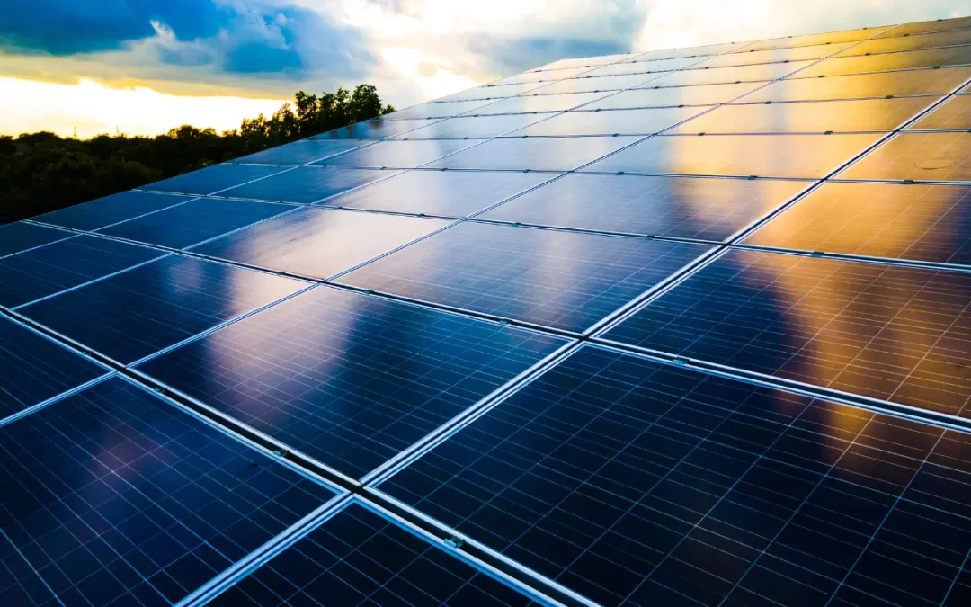 Top 10 Solar Panel Companies in India (2025)