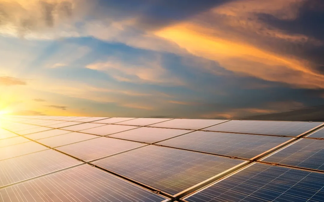 Delhi Solar Market 2025: Top Manufacturers & Dealers