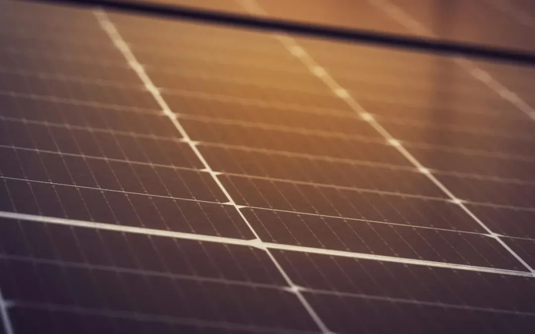 Which Solar Panel in India Offers the Best Warranty & Price?