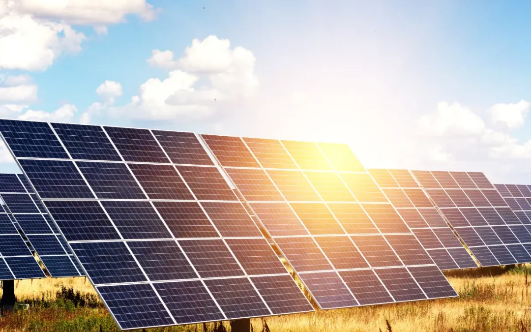 Verified List of Delhi Solar Panel Manufacturers for 2025 Buyers