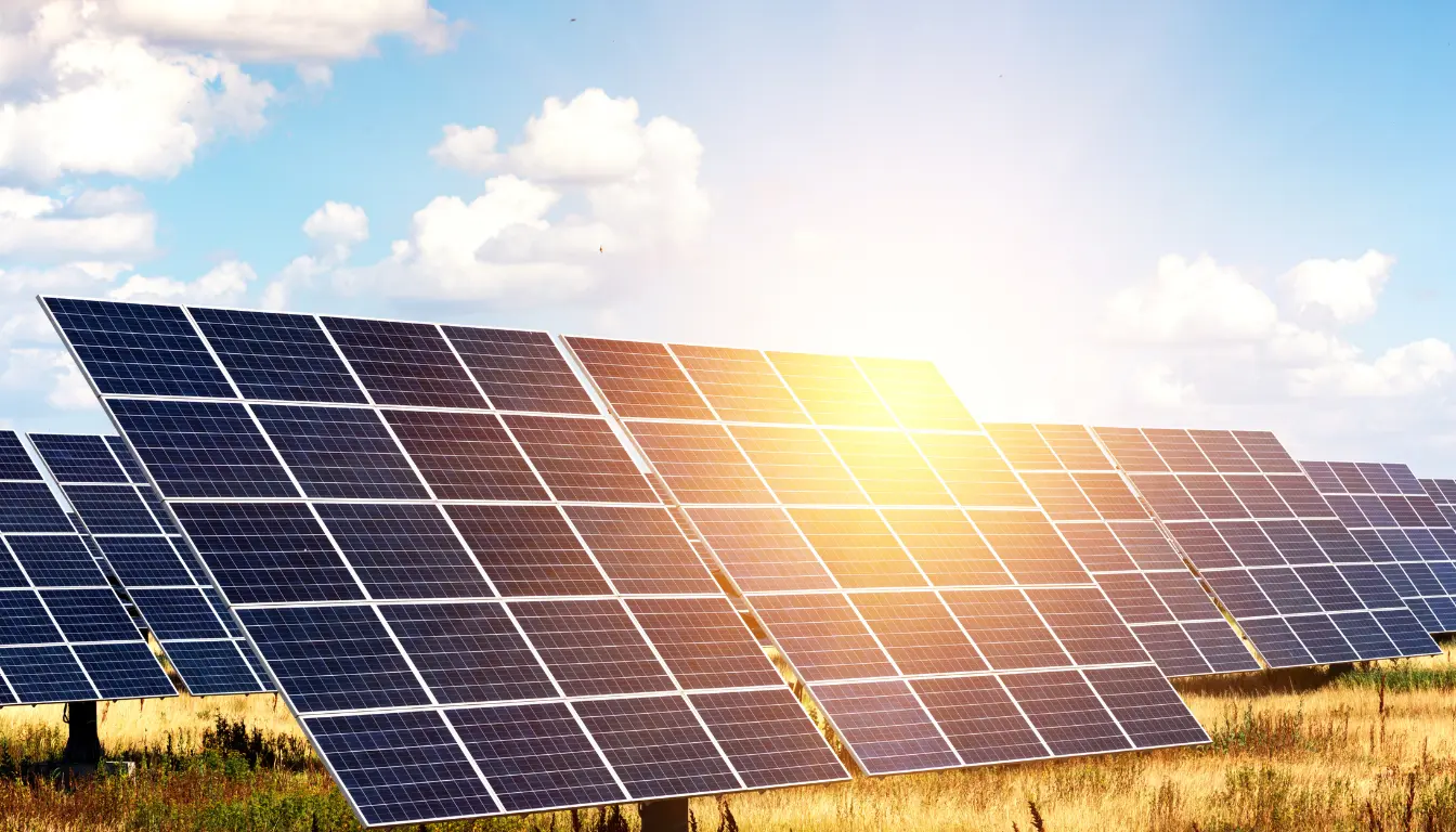 Verified List of Delhi Solar Panel Manufacturers for 2025 Buyers